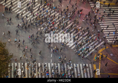 Stadtbild, Shibuya jagt Kousaten Kreuzung in Hachiko Square, Tokio, Japan Stockfoto