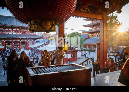 Beten, Senso-Ji Tempel, Asakusa, Tokio, Japan Stockfoto