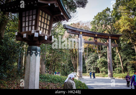 Torii-Tor in Meiji-Jingu Shinto-Schrein. Yoyogi-Park. Tokyo. Japan Stockfoto