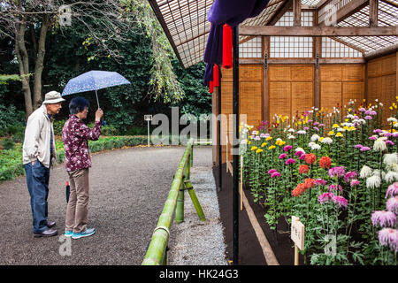 Chrysanthemum-Ausstellung in Shinjuku Gyoen Park, Tokio Stockfoto