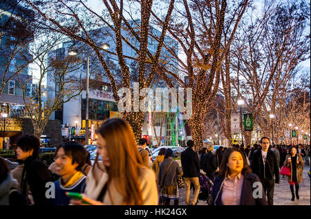 Weihnachten, Weihnachtsdekoration, Omotesando Avenue, Tokio, Japan Stockfoto