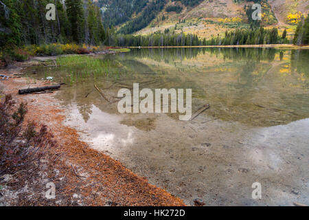 Die ruhigen Gewässer der String Lake Espe Bäume die Teton Mountains und die Farben des Herbstes reflektieren. Grand Teton Nationalpark, Wyoming Stockfoto