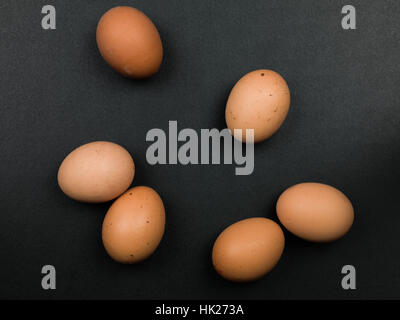 Sechs frische ungekochte braune Hühner-Eiern Stockfoto