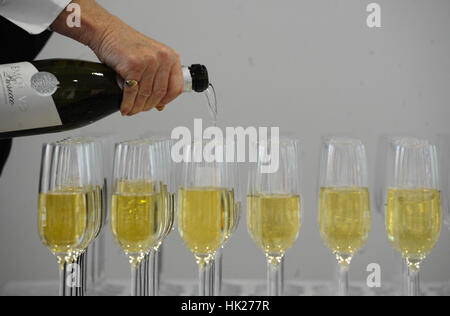 Sekt wird aus einer Flasche in eine Reihe von großen Gläsern von hand gegossen. Stockfoto