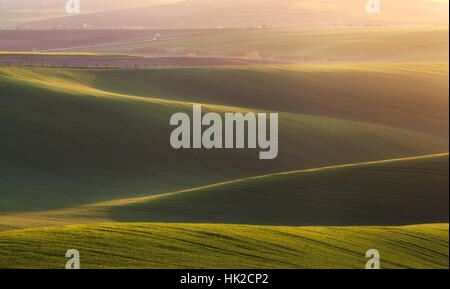 Grüne Felder am Abend in Südmähren, Tschechien. Grüne Wellen Hügel, fields.spring Landschaft. Landwirtschaft Stockfoto