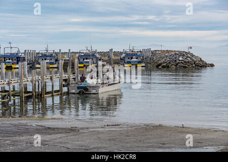 Der Hafen von Kaikoura mit Booten, die für Walbeobachtungen festgemacht, verwendet werden. Südinsel, Neuseeland. Stockfoto