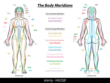 MERIDIAN SYSTEM - weiblichen Körper mit Auftraggeber und Mittellinie Akupunktur-Meridiane - Front- und Seitenzahnbereich Diagrammansicht. Stockfoto