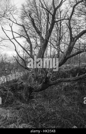 Fahren Sie von Doune nach Fort William Stockfoto