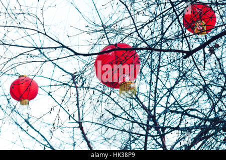Nahaufnahme von roten Laternen, die von Bäumen hängen Stockfoto