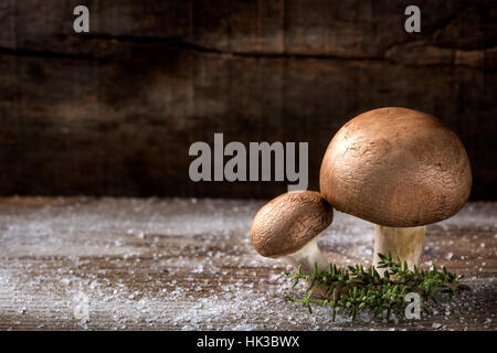 Zwei braune Champignons mit Salz und Thymian über alten rustikalen hölzernen Hintergrund Stockfoto