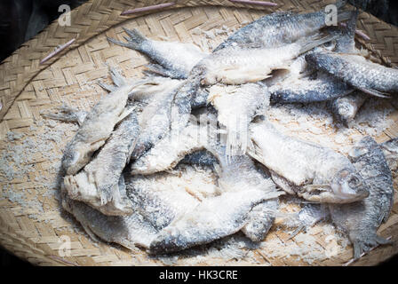 Fisch zum Verkauf im lokalen Markt, Myanmar Stockfoto