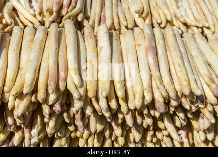 Delikatesse, frisch geernteten Spargel Stockfoto