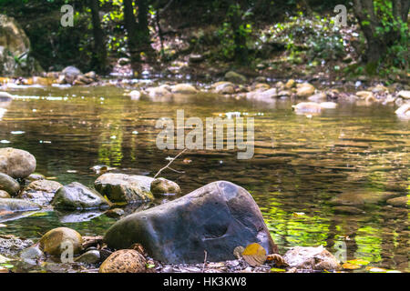 Rocky River, in den Wald, Algerien, Nordafrika Stockfoto