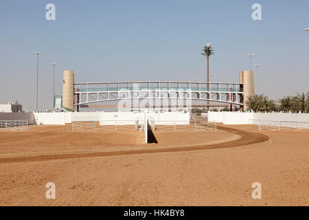 Kamelrennen Kurs in Dubai, Vereinigte Arabische Emirate Stockfoto