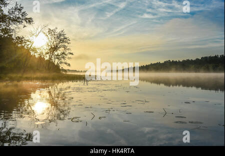 Brillante und leuchtende Mitte Sommer Sonnenaufgang an einem See.   Warmes Wasser und kühlere Luft bei Tagesanbruch schafft nebligen Nebelschwaden.  Stilles Wasser auf ruhigen Gewässern. Stockfoto