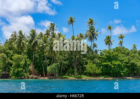 Palm Beach auf Raiatea, Französisch-Polynesien, Südsee, Ozeanien Stockfoto