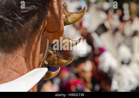 Tiger claws als traditionelle Schmuck in das Gesicht eines konyak - Krieger. kohima, Indien Stockfoto