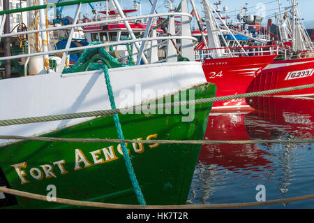 Fischkuttern und Booten im Hafen von Killybegs, County Donegal, Irland Stockfoto