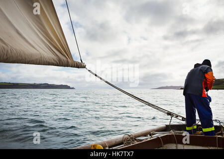 Traditionelle nachhaltige Auster Fischerei, ein Fischer auf einem Segelboot in der Fal-Mündung. Stockfoto