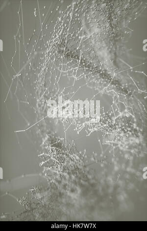 Desoxyribonukleinsäure (DNA), Molekül, das die genetischen Anweisungen von Entwicklung, Funktionsweise und Reproduktion aller lebenden Organismen trägt ein Stockfoto