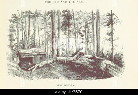 Mehr Großbritannien: eine Aufzeichnung der Reisen in englischsprachigen Ländern in den Jahren 1866 und 1867... Mit Karten und Illustrationen. [Mit Platten.] Bild von Seite 39 der "größere Brit Stockfoto