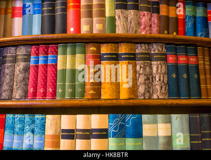 Alte Bücher im Regal, historische Bibliothek, Kloster Strahov, Hradschin, Prag, Tschechische Republik Stockfoto