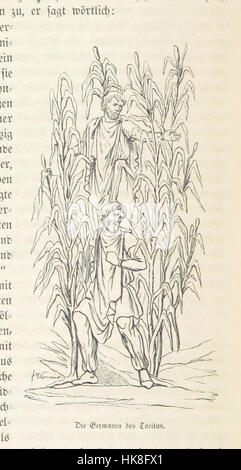 Bild aus „der Mensch, die Raùthsel und Wunder seiner Natur“, einem Werk, das die Geheimnisse und Wunder der menschlichen Natur untersucht. Das Foto zeigt wahrscheinlich eine Illustration oder Szene, die sich auf die menschliche Anatomie oder Biologie bezieht. Stockfoto