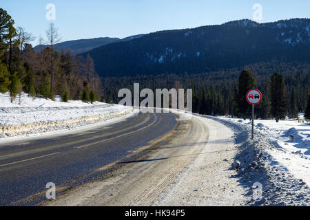 Trockene Bäume. Schneereiche Winter. Sonne und Schatten. Stockfoto