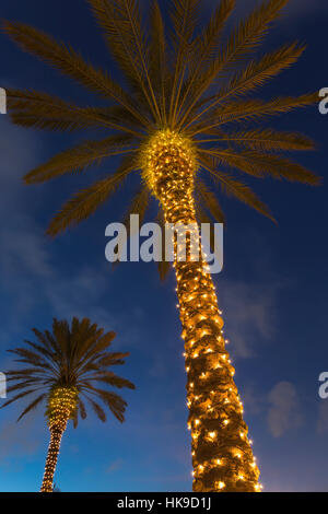 WEIHNACHTSBELEUCHTUNG AUF PALMEN Stockfoto