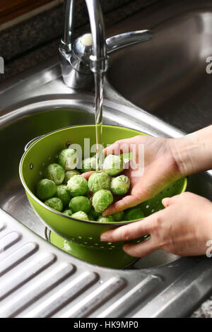 Hände waschen Rosenkohl in ein Sieb geben. Stockfoto