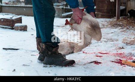 Mann hält eine Gans Karkasse in seinen Händen Stockfoto