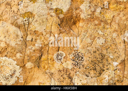 Runeninschriften auf neolithischen Menhir, Orkney Stockfoto