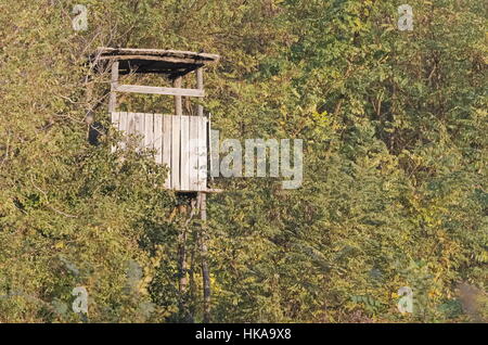 Hölzerne Jäger hoch Stand in den Wald-Tag Stockfoto