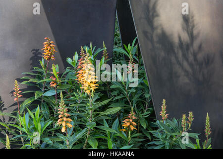 Der Telegraph Garten, Chelsea flower Show 2016 London UK - Designer: Andy Sturgeon Stockfoto