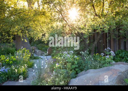 English Cottage Garden im Frühling mit Garten Stein gepflasterten Pflasterweg und Vogelbad Sonnenstrahl durch Bäume in der Morgendämmerung gemischter Garten Grenzen Pflanzen Großbritannien Stockfoto