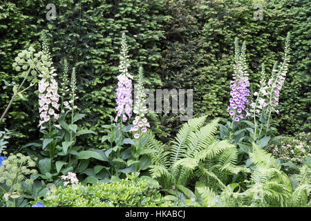 Die Husqvarna Garten, Chelsea Flower Show 2016, London UK Designer: Charlie Albone Stockfoto