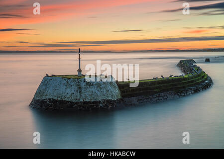 Ufermauer in Arbroath Harbour, Schottland Stockfoto