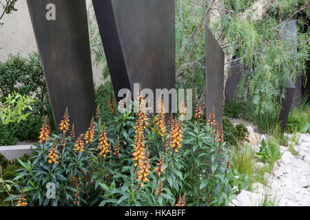 Der Telegraph Garten, Chelsea flower Show 2016 London UK - Designer: Andy Sturgeon Stockfoto