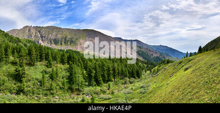 Gebirgstaiga an einem Hang der Täler und Tundra. Östlichen Sayan. Russland Stockfoto