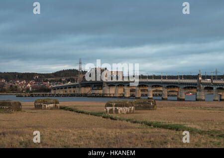 Kincardine swing Bridge über den Firth of Forth, Blick nach Norden, Fife, Schottland, Vereinigtes Königreich, Stockfoto