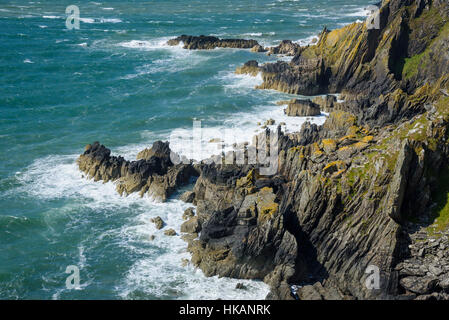 Klippen entlang des Solway Firth in der Nähe von Isle of Fund, Dumfries & Galloway, Schottland Stockfoto