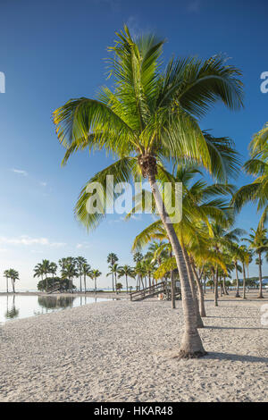 SAND STRAND REFLEKTIERENDEN POOL ATOLL MATHESON HÄNGEMATTE COUNTY PARK MIAMI FLORIDA USA Stockfoto