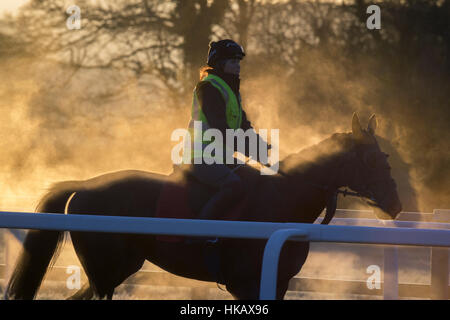 Dampfende Rennpferd auf die Galoppaden an einem Stall Somerset UK Stockfoto