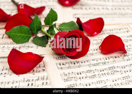 Rote rose Blume und verschwommene Musik Notenblatt Stockfoto