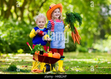 Zwei Kinder Kommissionierung frisches Gemüse auf Bio Bio Bauernhof. Kinder im Garten und Landwirtschaft. Herbst-Ernte-Spaß für die Familie. Stockfoto