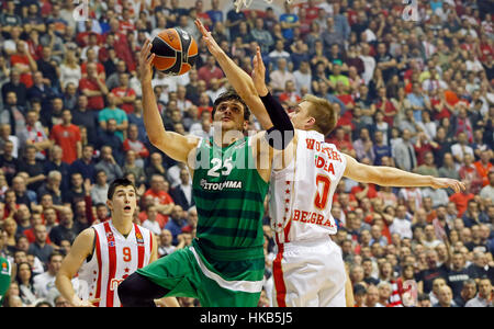 Belgrad, Serbien. 26. Januar 2017. Von Alessandro Gentile (C) Panathinaikos wetteifert mit Crvena Zvezdas Nate Wolters (R) während ihrer regulären Saison rund 20 Euroleague Basketball-Match in Belgrad, Serbien. Crvena Zvezda gewann 72-66. Bildnachweis: Predrag Milosavljevic/Xinhua/Alamy Live-Nachrichten Stockfoto