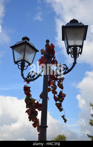 Straße Laterne mit Blumen Efeu Stockfoto