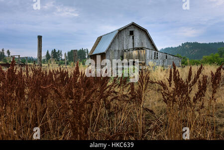 Verlassene hölzerne Scheune umgeben von bewachsenen Vegetation in indigenen Indianerreservation an einem bewölkten Tag, South Dakota, USA. Stockfoto