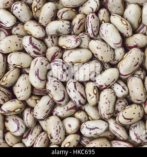 Cranberry, Borlotti, Roman oder Shell Bohnen Textur Hintergrund oder Muster. Rohe Hülsenfrüchte essen. Stockfoto