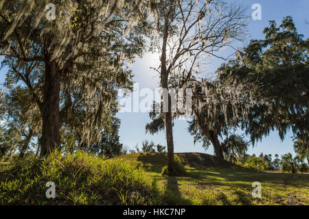 Native American irdenen Hügel miden Hügel J, im Crystal River archäologische State Park in Citrus County, Florida. Stockfoto